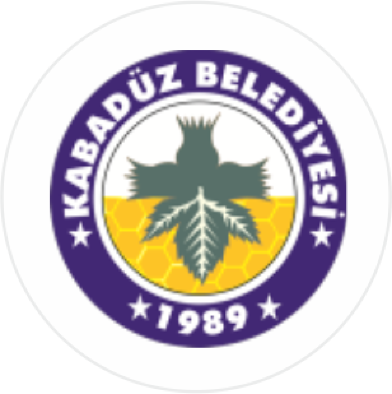 Kabadüz Belediyesi